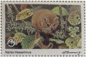 Hazel Dormouse (Muscardinus avellanarius), Närke